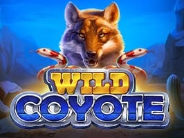 Wild Coyote screenshot